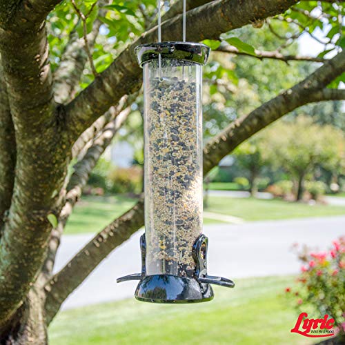 40 lb. Wild Bird Mix Bird Seed W299691