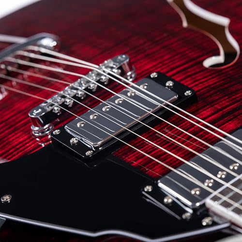 Black Semi-Hollow Body Electric Guitar S90771