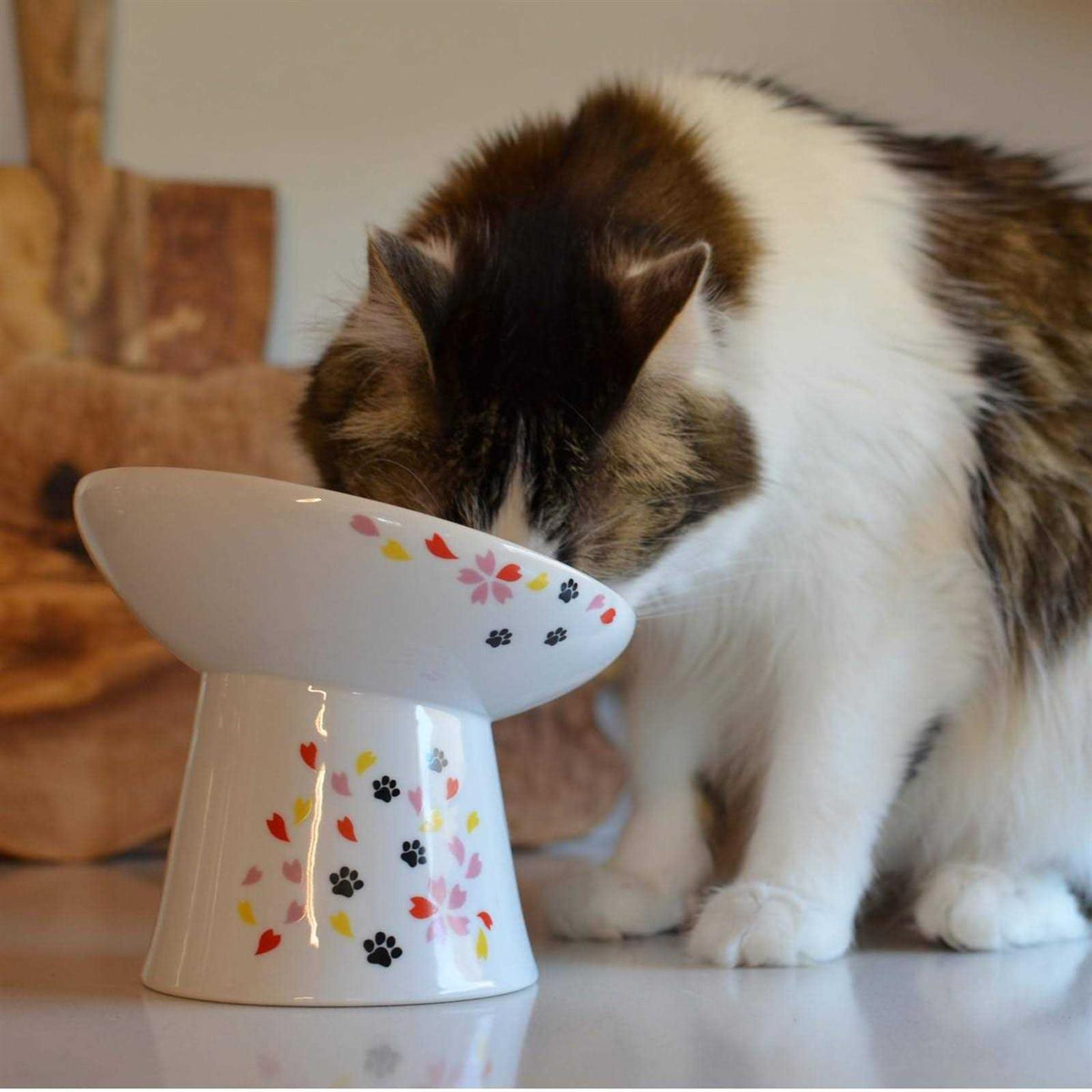 Extra Wide Raised Cat Food Bowl M966263