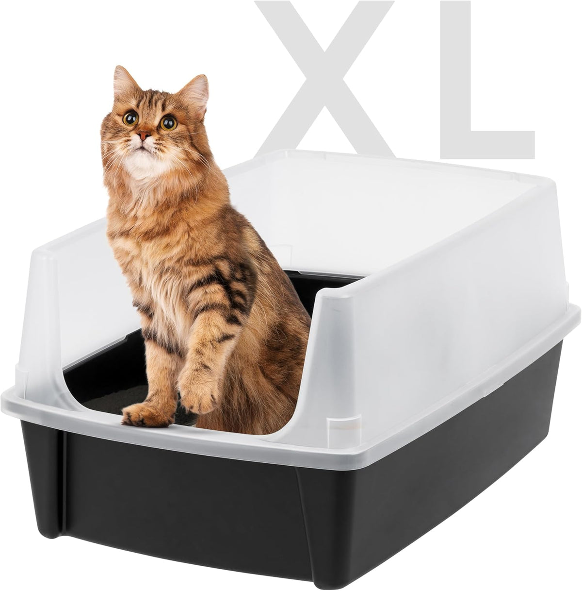 Black Open Top High Sided Cat Litter Box Y97622