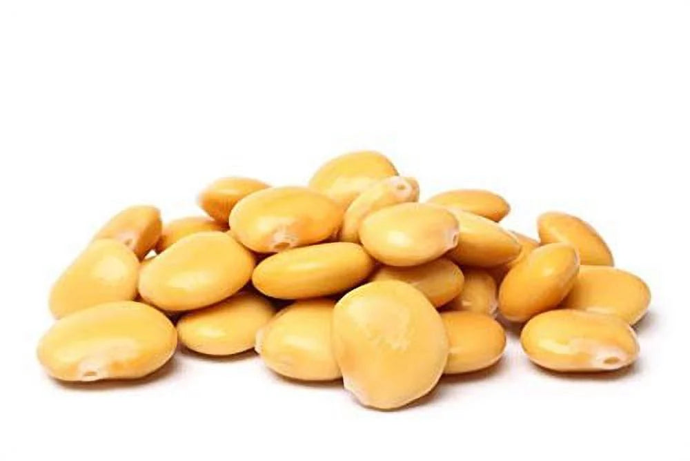 Ready To Eat Lupini Beans 32 OZ Jar Pack of 6 M40071