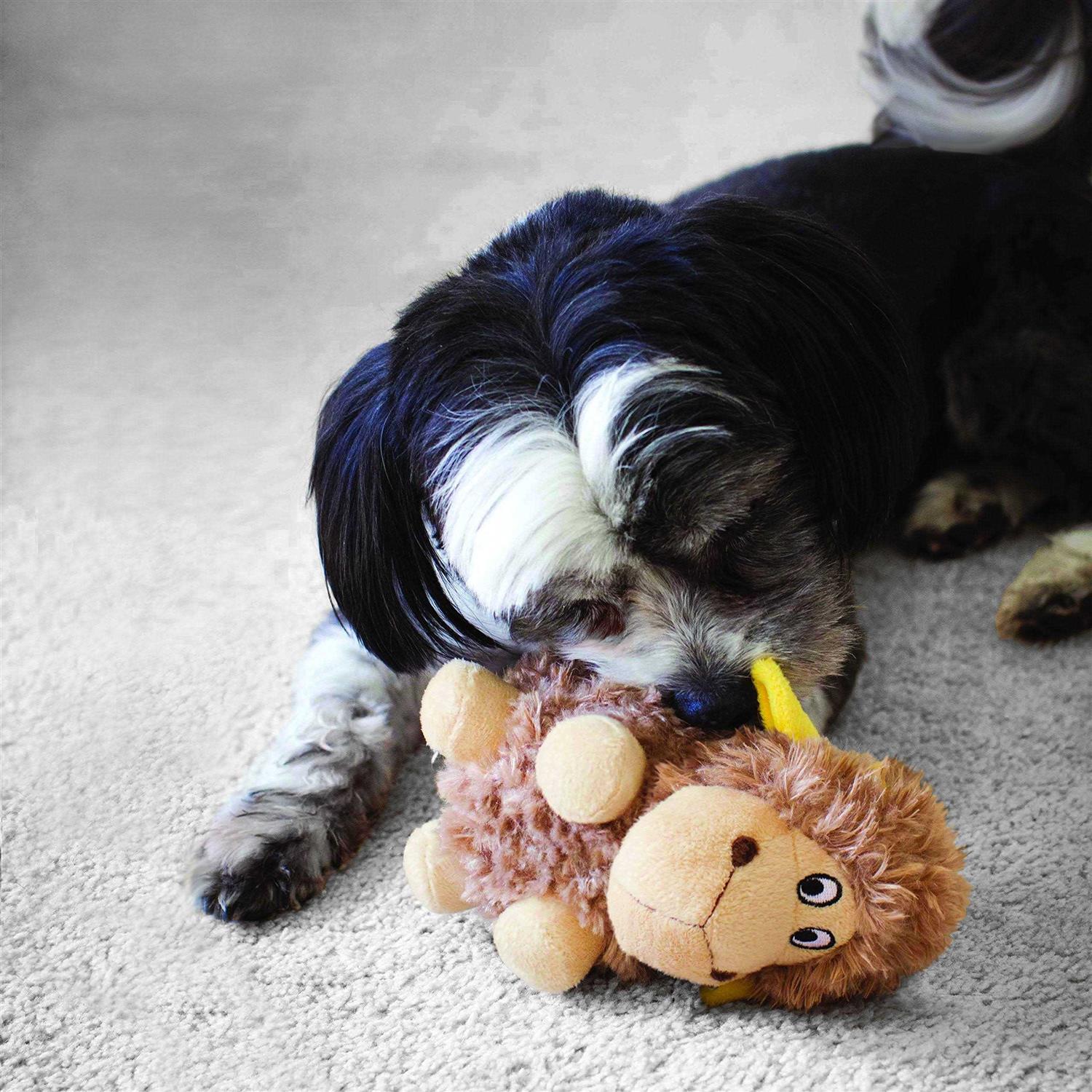 Pig Dog Toy I668