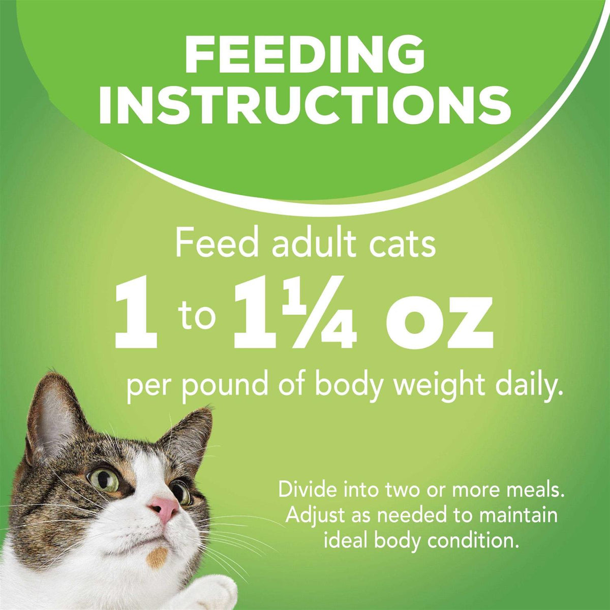 Indoor Wet Cat Food Y2835