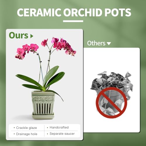 5" Ceramic Orchid Planter with Attached Saucer P5769