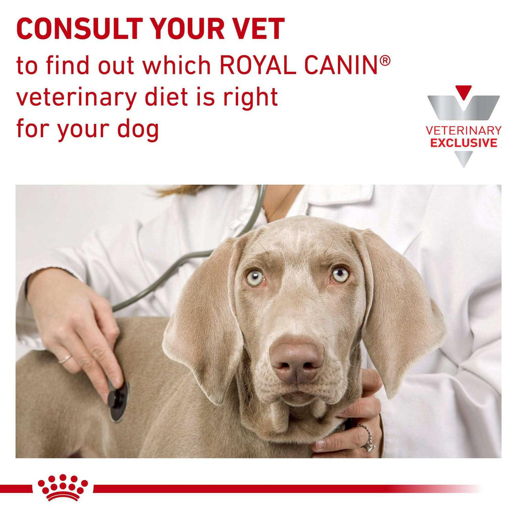 Veterinary Diet Canine Hydrolyzed Protein Adult PS Dry Dog Food I744809