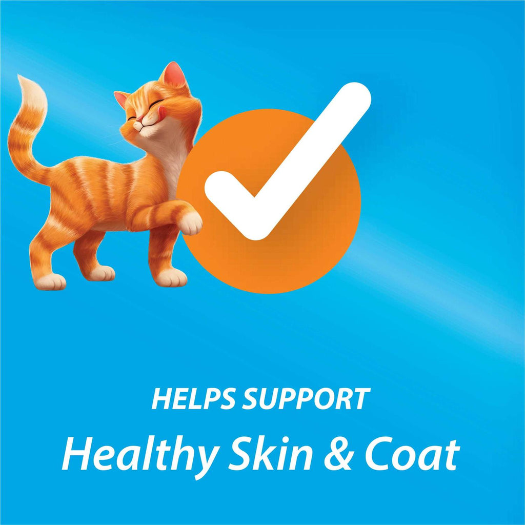 Dry Cat Food Q944936