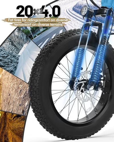 Fat Tire Electric Bike with 20X4.0 Tire, 7-Speed D8552