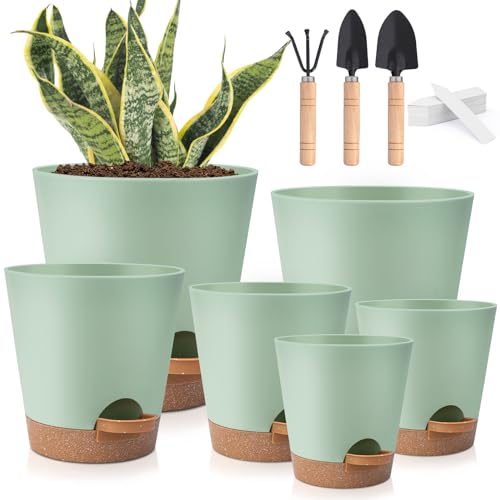 Self Watering Plastic Plant Pots with Drainage Hole and Saucers Q590857