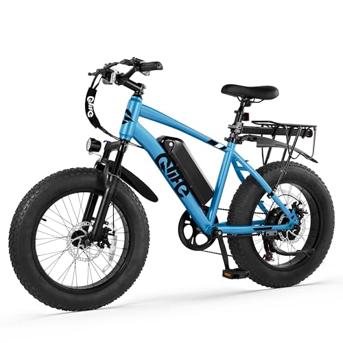 Fat Tire Electric Bike with 20X4.0 Tire, 7-Speed D8552