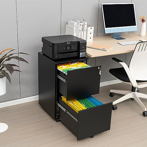 White 2-Drawer Rolling Metal File Cabinet with Lock Z247