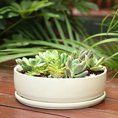 8 inch White Round Ceramic Planter with Removable Saucer V44792