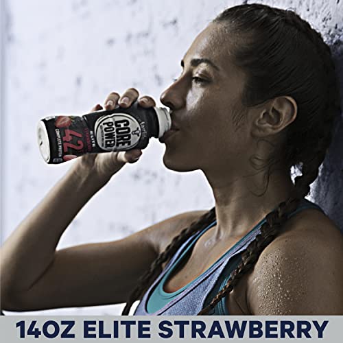 Strawberry 42g High Protein Milk Shake, 14 Fl Oz (2 Packs of 12) H2022