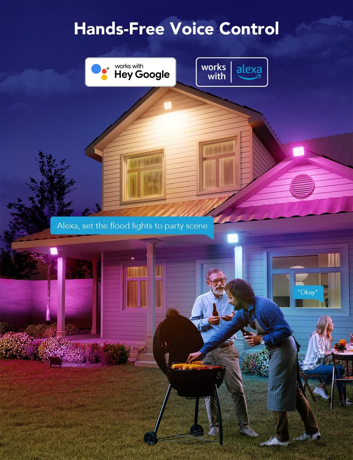 2 Pack RGBIC LED Flood Lights P1480
