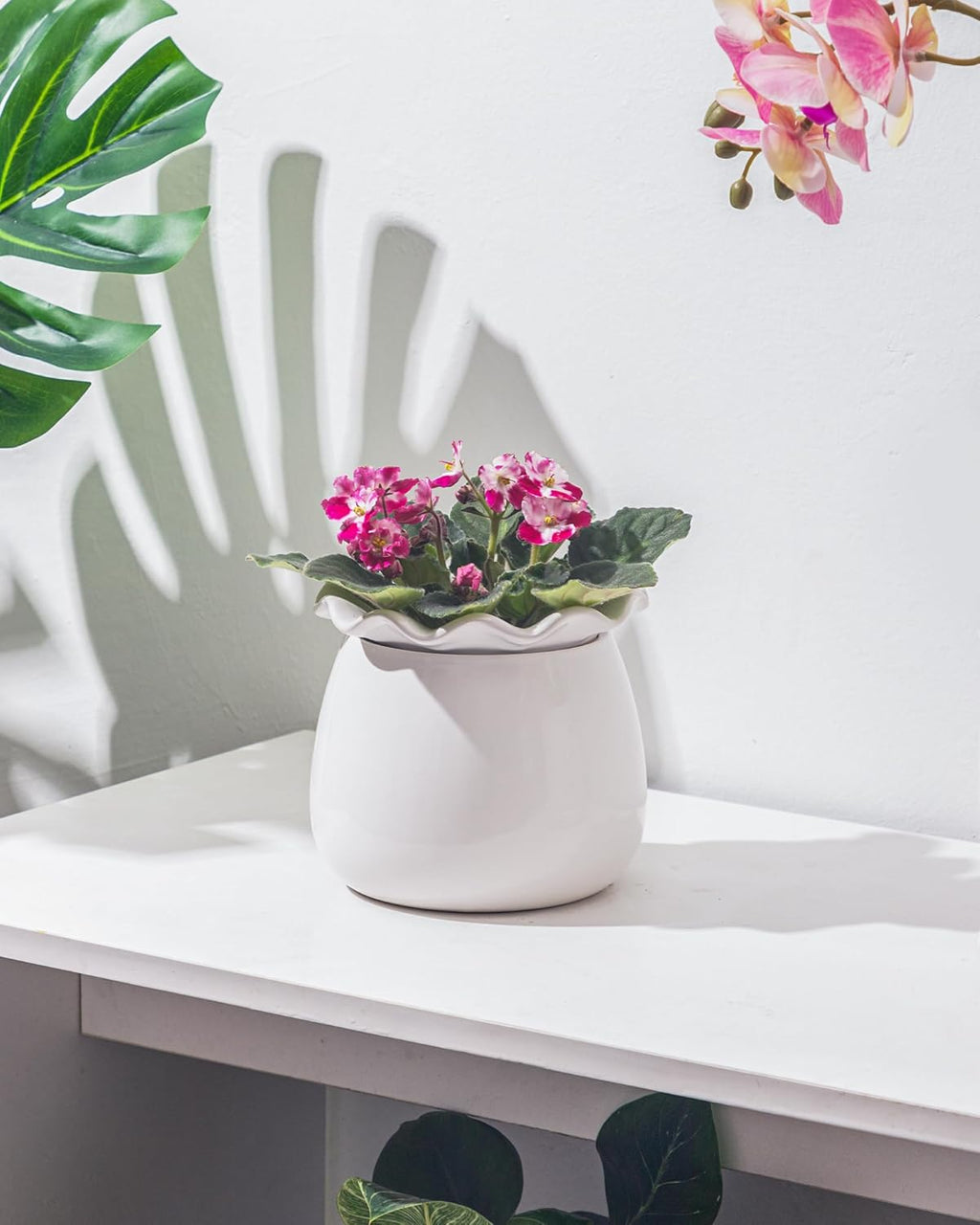 6 Inch Ceramic Self-Watering Plant Pot O625776