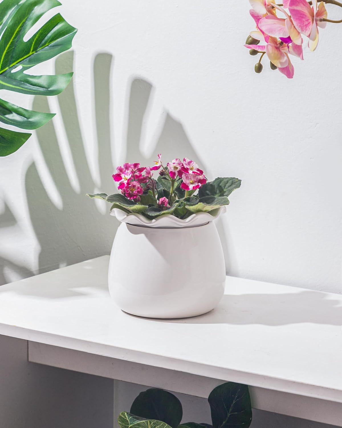 6 Inch Ceramic Self-Watering Plant Pot O625776