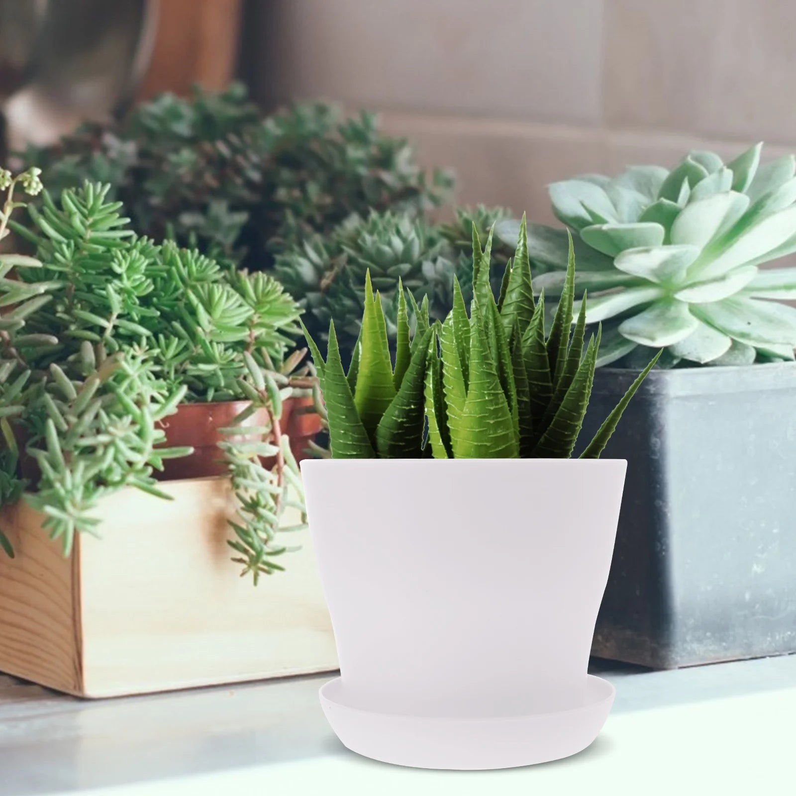 White 10 Pcs Flowerpot Y121506