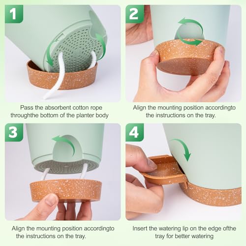 Self Watering Plastic Plant Pots with Drainage Hole and Saucers Q590857