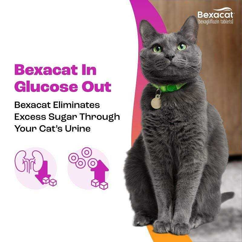 15 mg Cat P38084