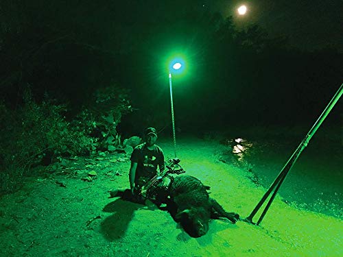 Motion Activated Feeder Light with Remote Control C575