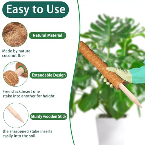 Moss Pole -2 Pack 17 Inch Plant Support Stakes M609