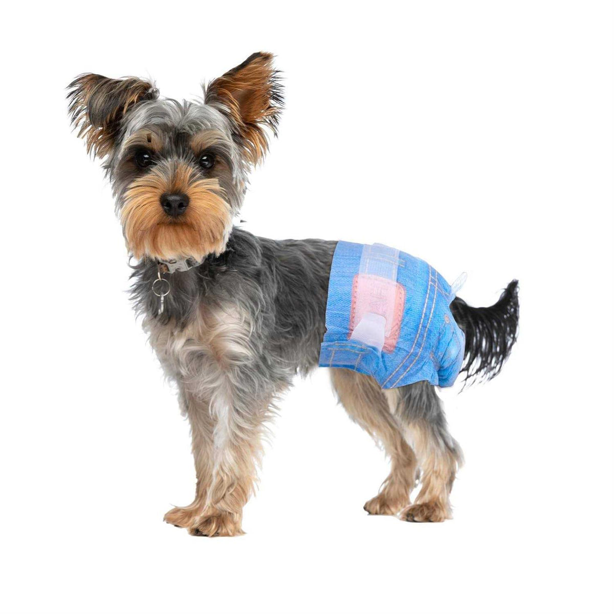 Female Disposable Dog Diapers A524