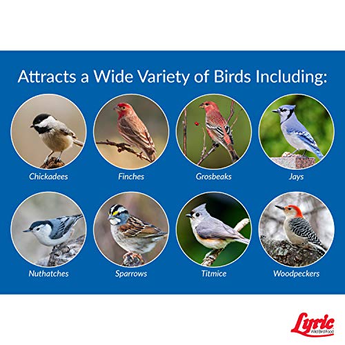 40 lb. Wild Bird Mix Bird Seed W299691