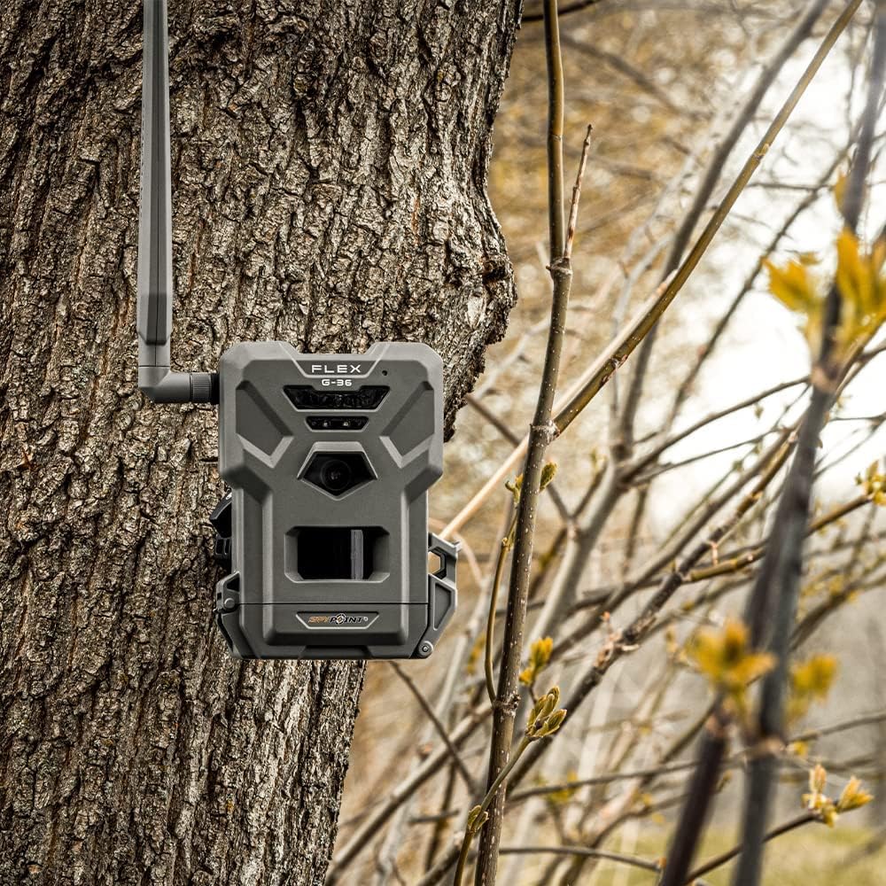 Twin Pack Cellular Trail Camera with 36MP Photos and 1080p Videos Y85146