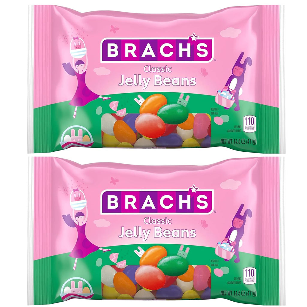 Assorted Fruit Flavors Jelly Beans, Pack of 2-14.5oz Bags E505