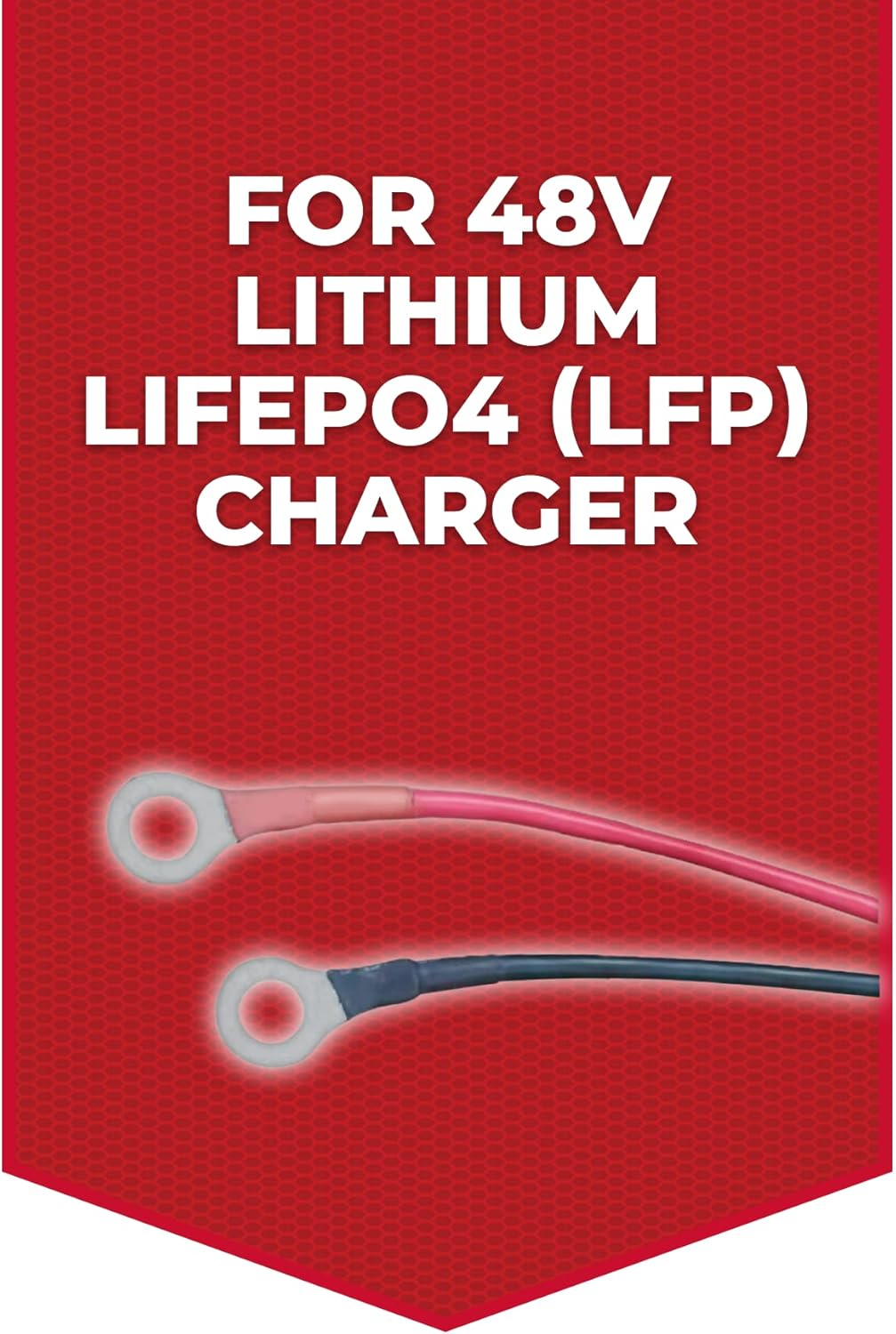 15 AMP Lithium Onboard Battery Charger for 48 Volt Golf Carts Y829165