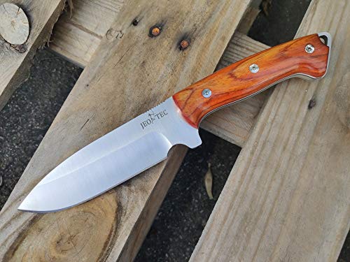 Fixed Blade Full Tang 11" MOVA Stainless Steel Knife with Sheath G92525