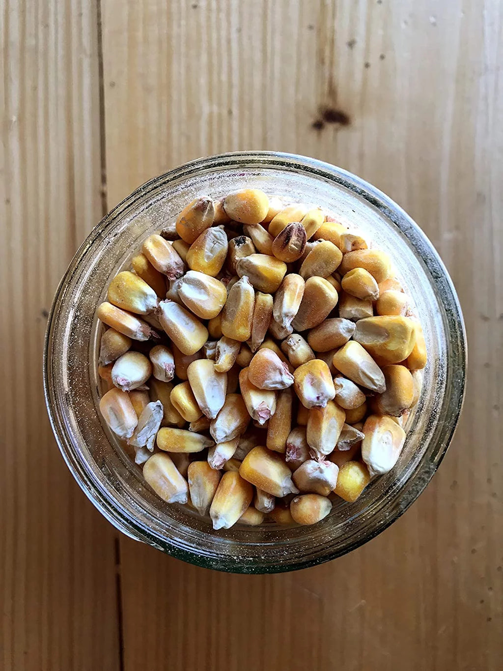 Shelled Corn Non-GMO 50 lb Y568193
