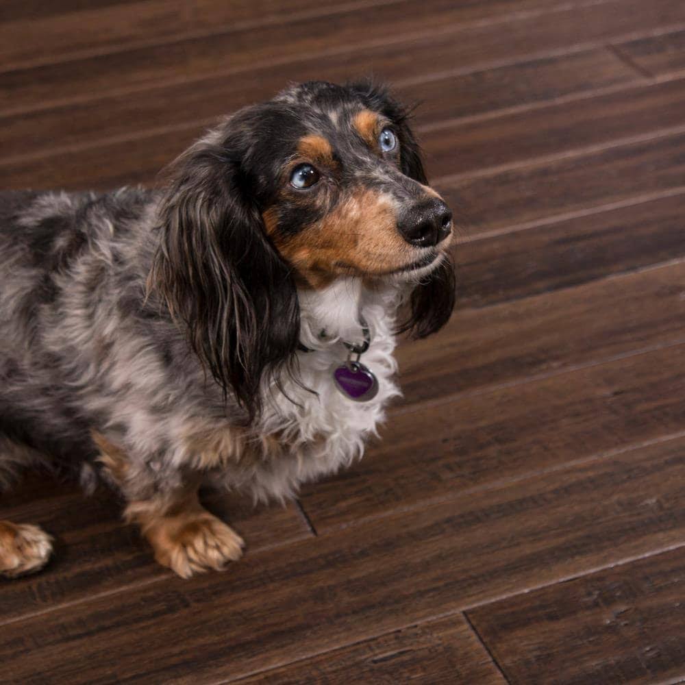 5.31-in Vintage Port Bamboo Handscraped Engineered Hardwood Flooring (21.5-Sq ft) Brown E313