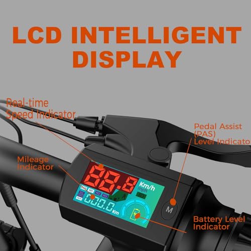 750W Electric Bike with 48V20AH Battery and 16"×3" Fat Tire R206