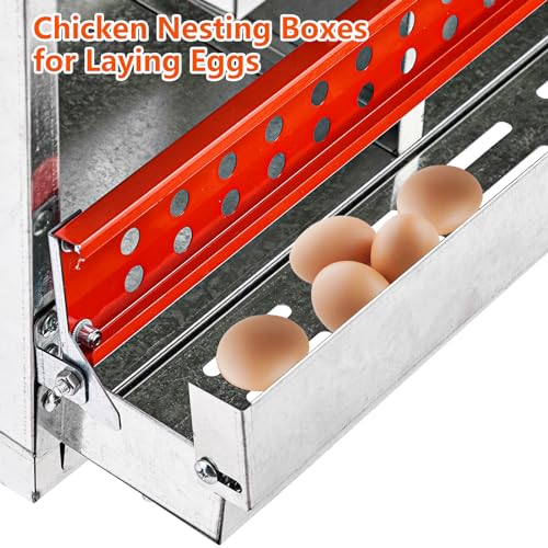 6 Compartment Metal Chicken Nesting Boxes V729816