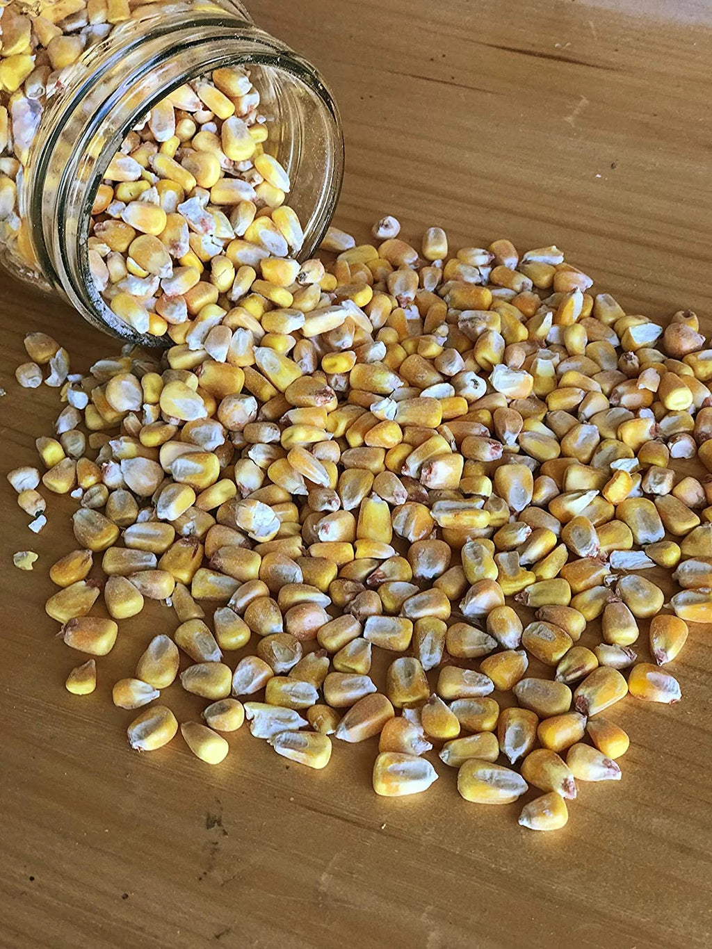 Shelled Corn Non-GMO 50 lb Y568193