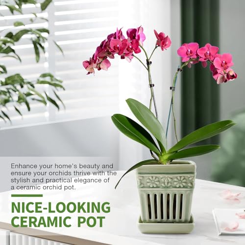 5" Ceramic Orchid Planter with Attached Saucer P5769