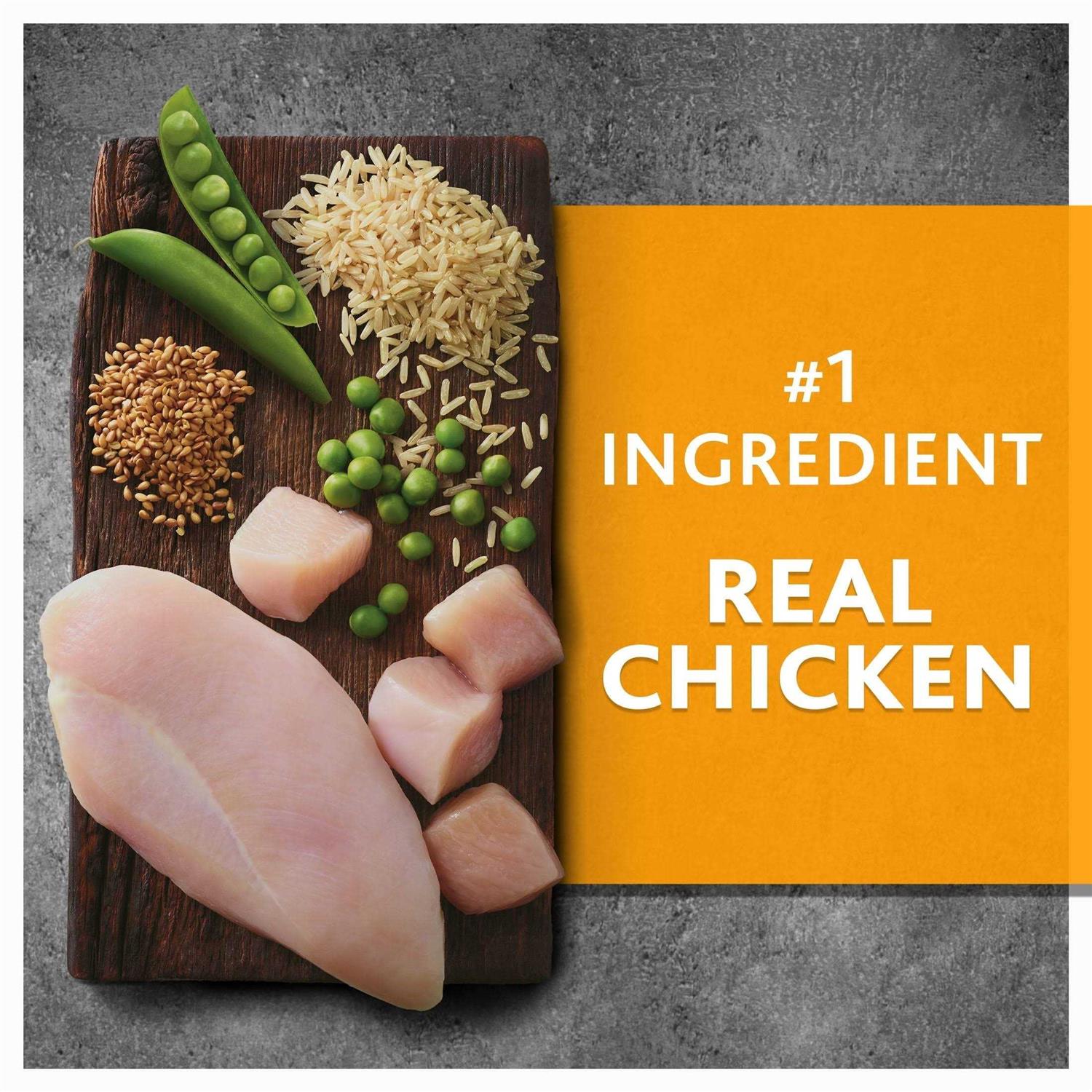 Chicken and Brown Rice Recipe Dry Dog Food Q561018