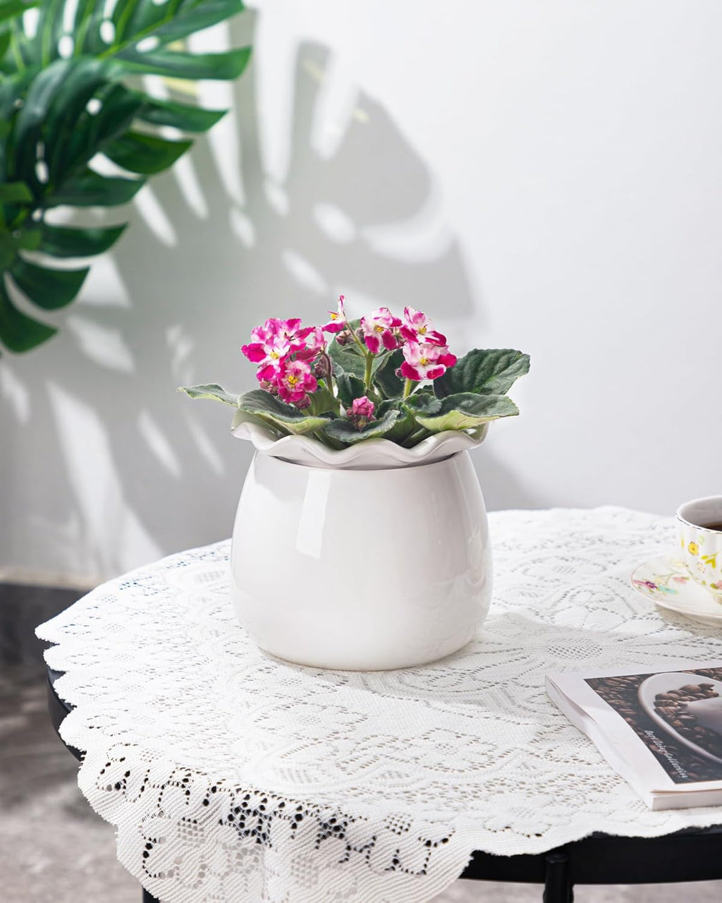 6 Inch Ceramic Self-Watering Plant Pot O625776