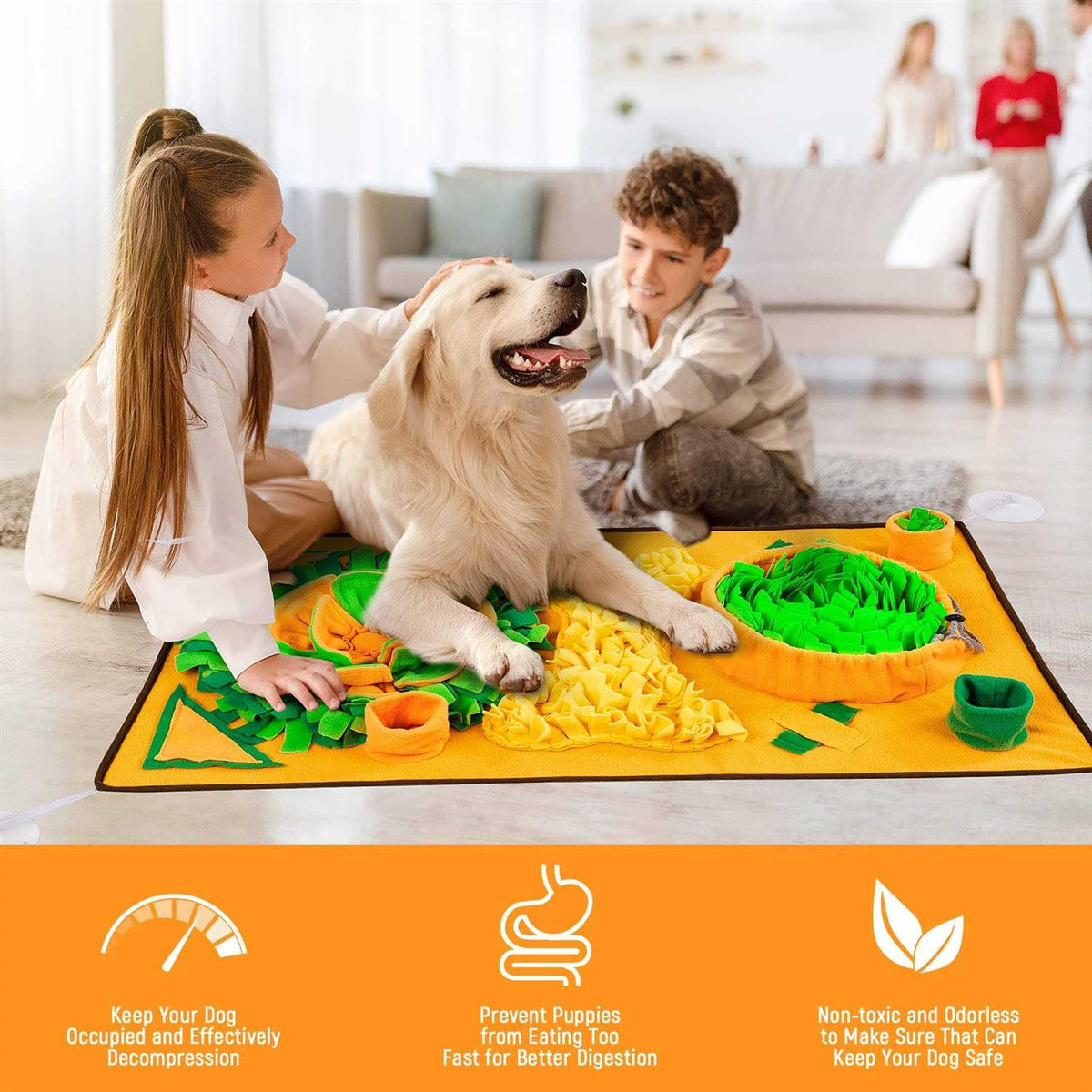 Non-slip Carrot Snuffle Mat for Dog Enrichment L17948