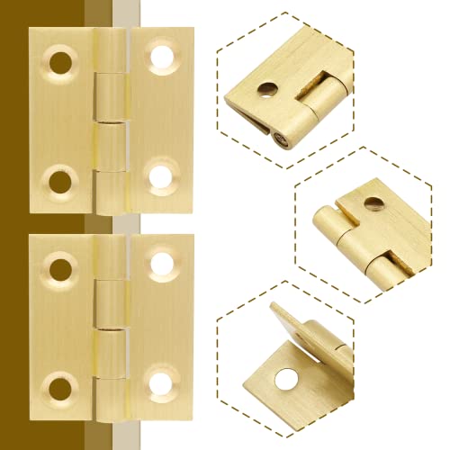 Brass Hinges N6265