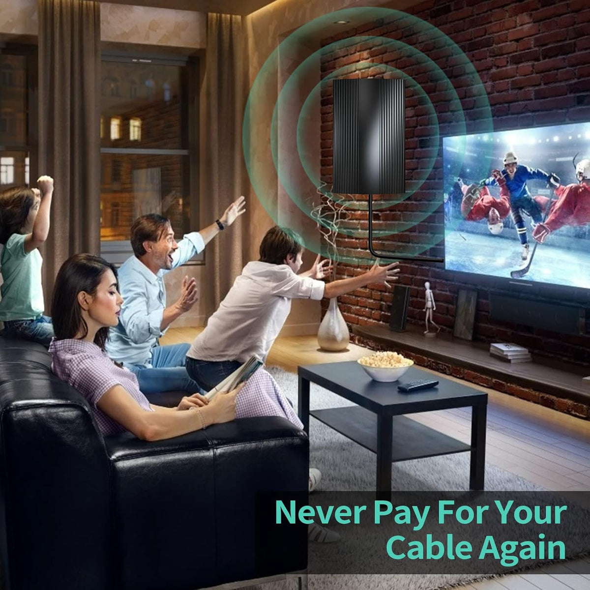 TV Antenna with Amplifier Signal Booster & 33FT Coaxial Cable B76336