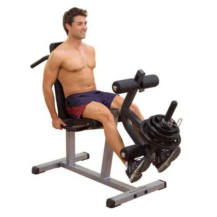 Seated Leg Extension and Supine Curl X9841