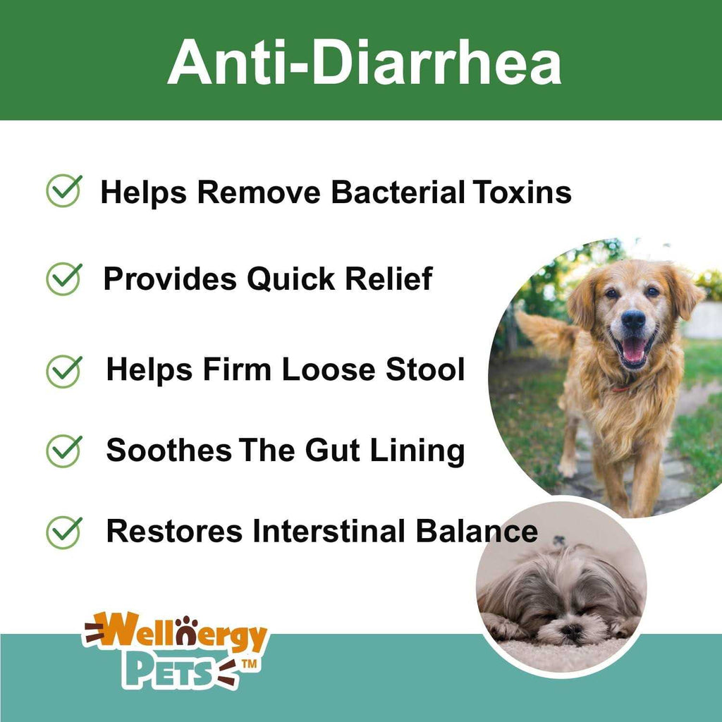 Anti-Diarrhea for Dogs & Cats V37429