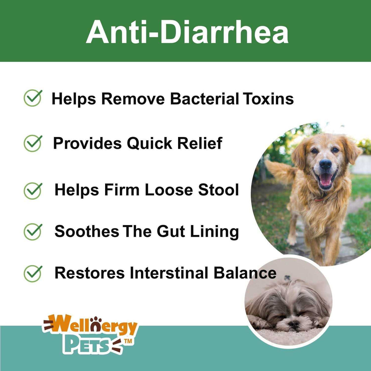 Anti-Diarrhea for Dogs & Cats V37429