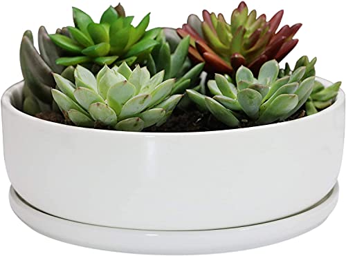 8 inch White Round Ceramic Planter with Removable Saucer V44792