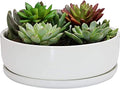 8 inch White Round Ceramic Planter with Removable Saucer V44792