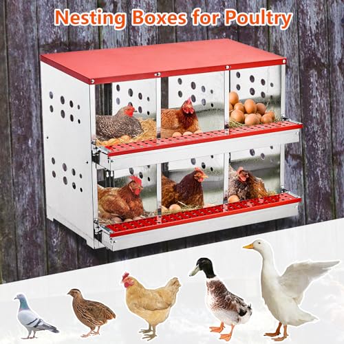 6 Compartment Metal Chicken Nesting Boxes V729816