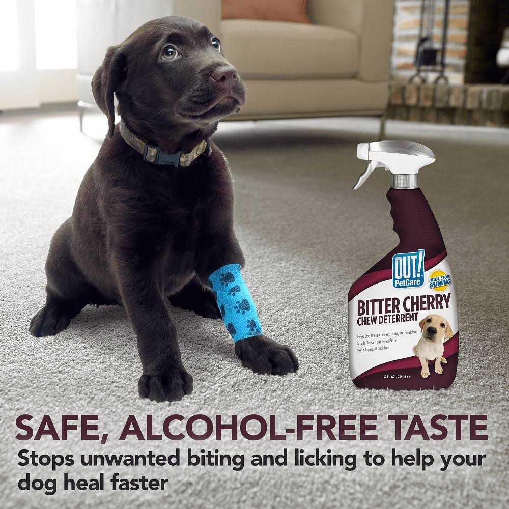 Bitter Cherry Dog Chew Deterrent B61449