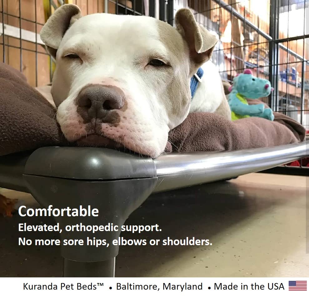 Walnut PVC Heavy Duty Vinyl Dog Bed 50" x 36" Y67781