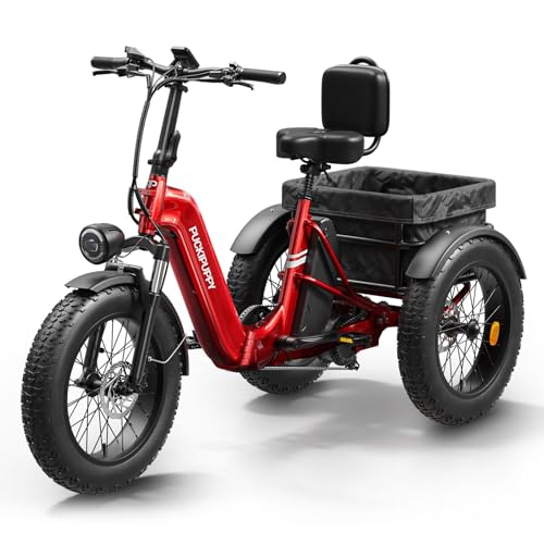 Electric Trike with 750W Motor, 48V 18AH Battery, 20" Fat Tire, Large Basket Q46738